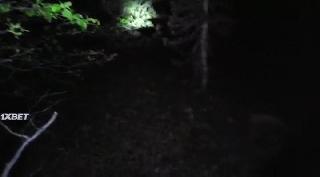 Тахо Джо (2022)