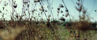 Равноденствие (2020)