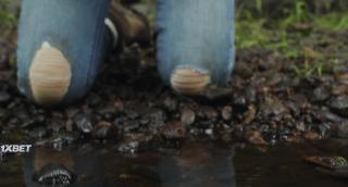 Сигналы бедствия (2022)