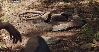 Сигналы бедствия (2022)