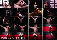 Clips4Sale - Cards of Pain 15 (HD/720p/1.86 GB)