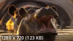 Великаны планеты | Big Beasts (1 сезон/2023/WEB-DL/720p/1080p)